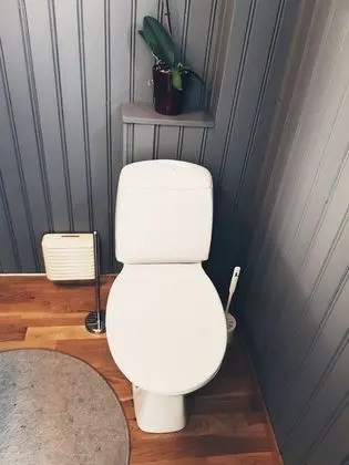 Ev