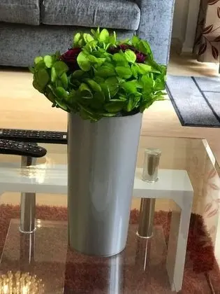 Ev