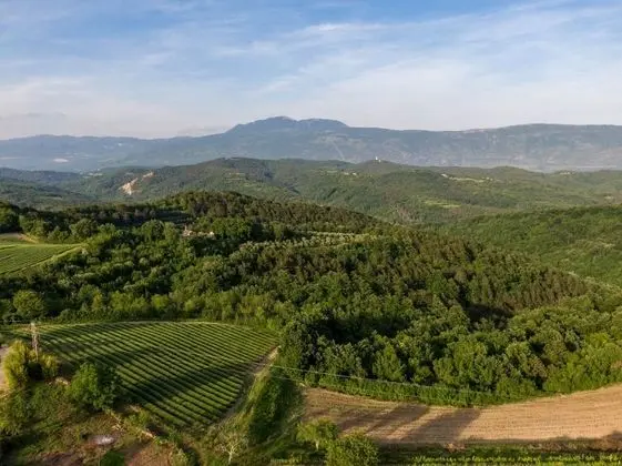 Ev (Stef - with pool - H(4))