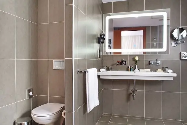 Superior Oda, 1 Çift Kişilik Yatak, Şehir Manzaralı