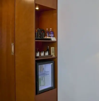 Superior Oda, 1 Çift Kişilik Yatak, Şehir Manzaralı