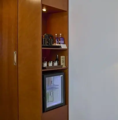 Superior Oda, 1 Çift Kişilik Yatak, Şehir Manzaralı