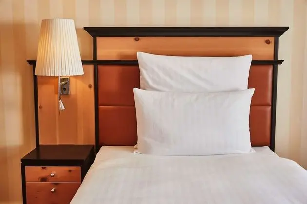 Superior Tek Kişilik Oda, 1 Tek Kişilik Yatak