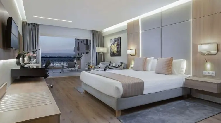 Executive Oda, 1 Çift Kişilik Yatak, Manzaralı (Superior, Front Nile View)
