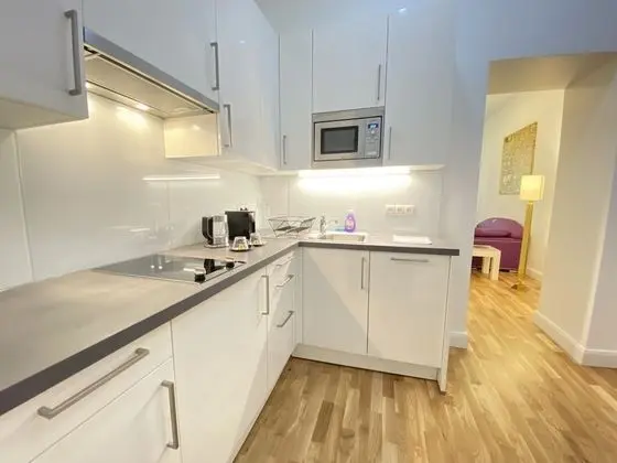 Comfort Apart Daire, 1 Yatak Odası, Sigara İçilmez, Mutfak