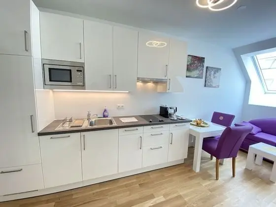Exclusive Apart Daire, 1 Yatak Odası, Sigara İçilmez, Mutfak