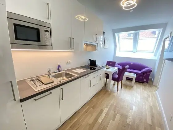 Exclusive Apart Daire, 1 Yatak Odası, Sigara İçilmez, Mutfak