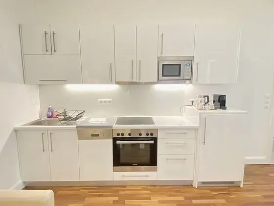 City Apart Daire, 1 Büyük (Queen) Boy Yatak ve Çekyat, Sigara İçilmez, Mutfak