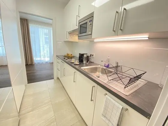 Premium Stüdyo, 1 Büyük (Queen) Boy Yatak, Balkon, Avlu