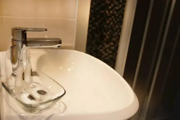 Standard Tek Büyük veya İki Ayrı Yataklı Oda, Banyolu/Duşlu