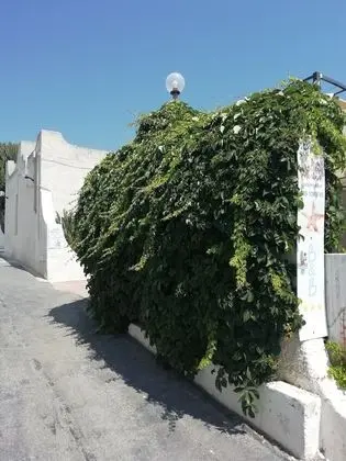 Basic Dört Kişilik Oda