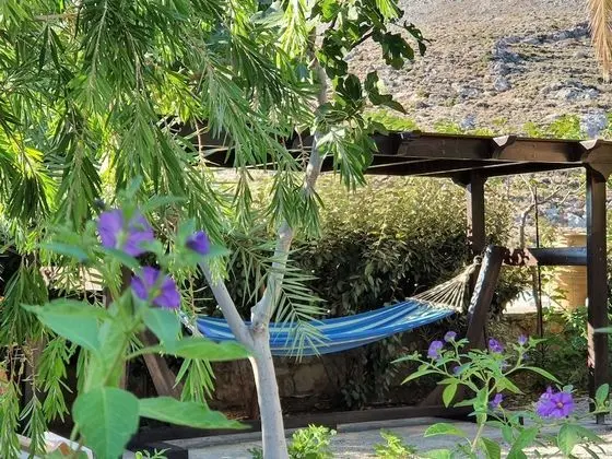 Tek Büyük veya İki Ayrı Yataklı Oda, Balkon