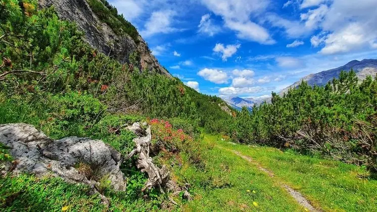 Apart Daire, Özel Banyo, Dağ Manzaralı