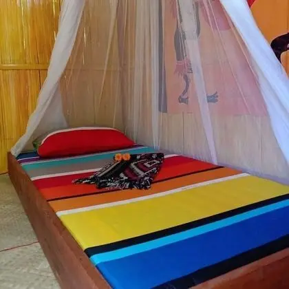 Traditional İki Ayrı Yataklı Oda, 2 Tek Kişilik Yatak, Dağ Manzaralı