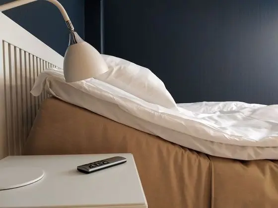 Tek Büyük Yataklı Oda, Engellilere Uygun, Avlu Manzaralı