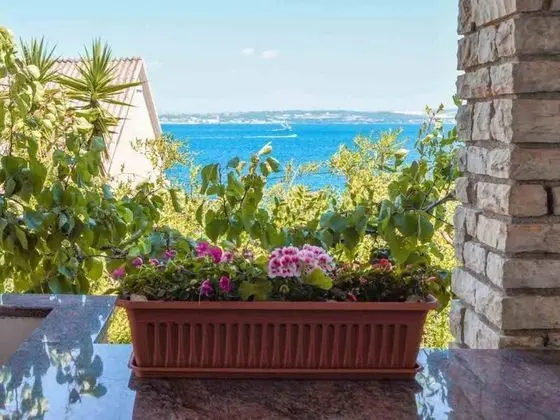 Apart Daire, 1 Yatak Odası, Teras