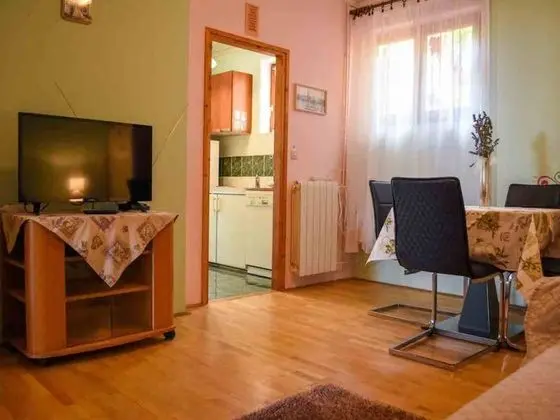 Apart Daire, 1 Yatak Odası, Teras