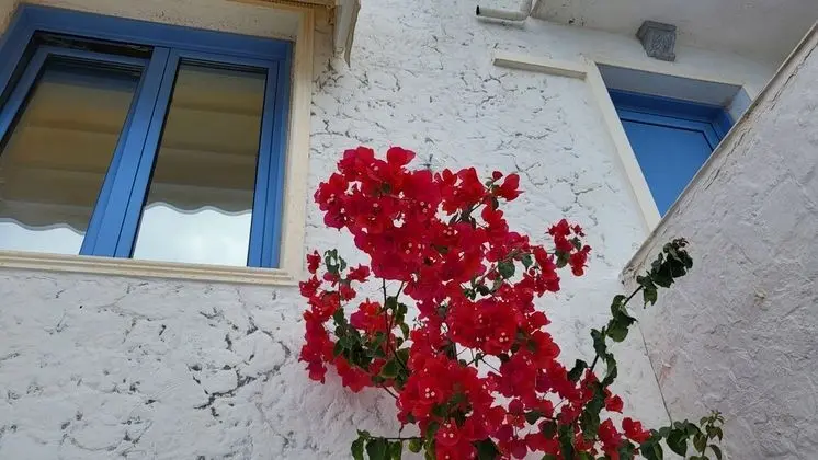 Oda, 1 Yatak Odası, Balkon