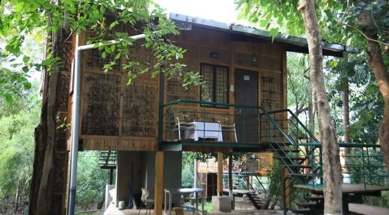 Ağaç Ev