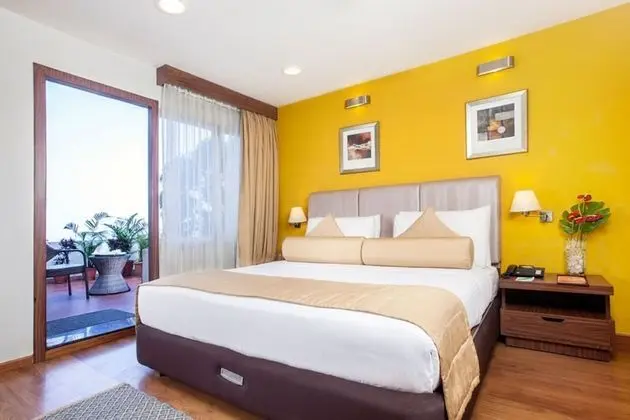 Deluxe Süit, 1 Çift Kişilik Yatak