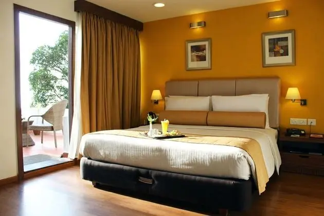 Deluxe Süit, 1 Çift Kişilik Yatak
