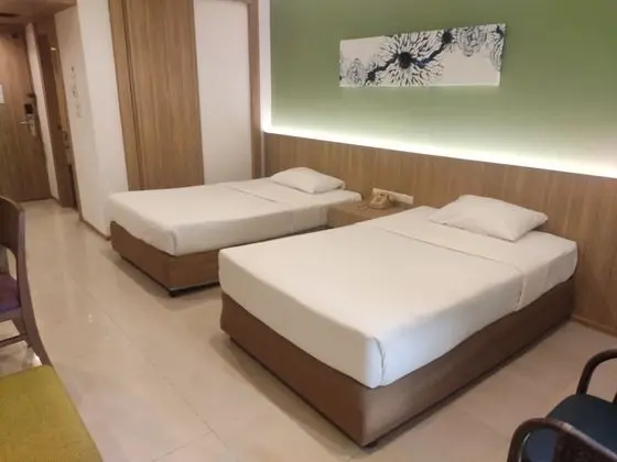 Deluxe Tek Büyük veya İki Ayrı Yataklı Oda