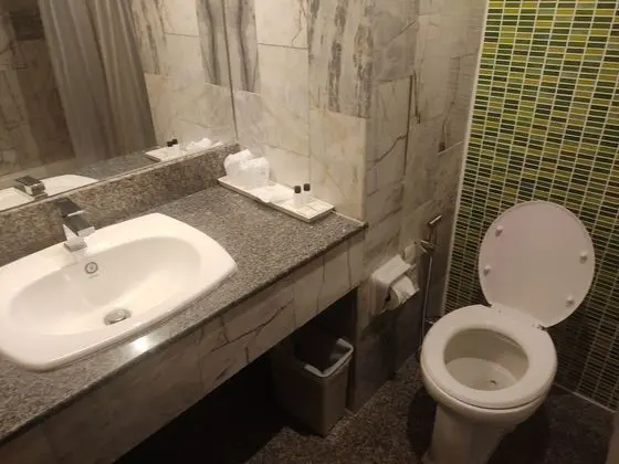 Deluxe Tek Büyük veya İki Ayrı Yataklı Oda