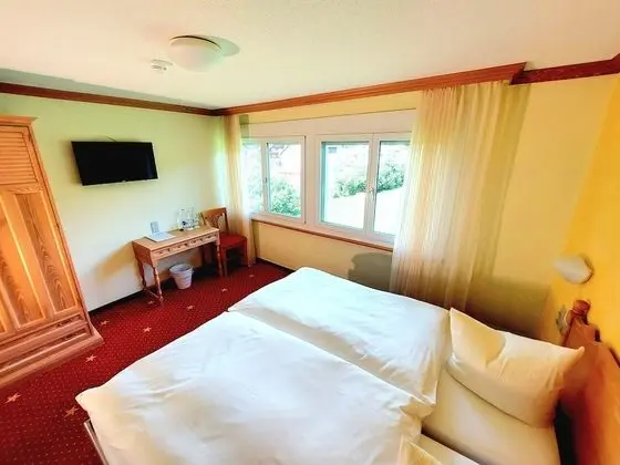 Superior Tek Büyük Yataklı Oda