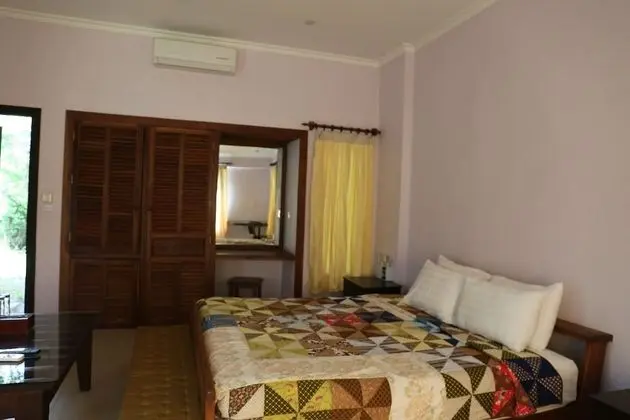Deluxe Tek Büyük Yataklı Oda, Havuz Manzaralı