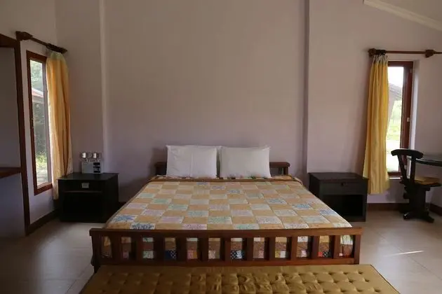 Deluxe Tek Büyük Yataklı Oda, Havuz Manzaralı