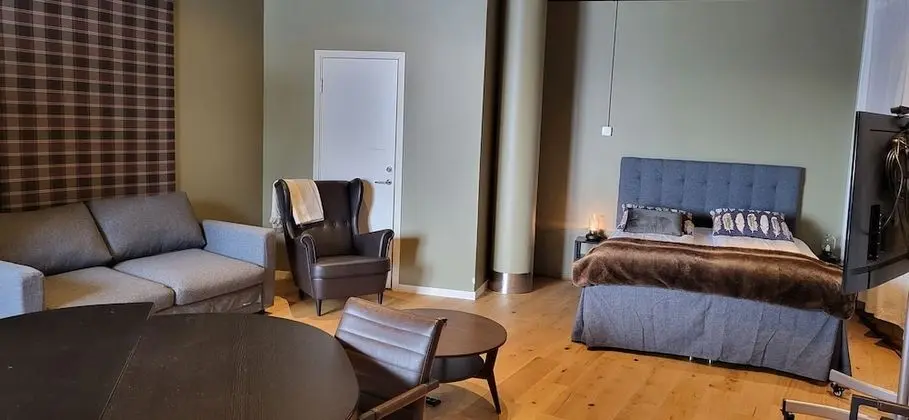 Deluxe Oda, 1 Büyük (Queen) Boy Yatak ve Çekyat, Şehir Manzaralı