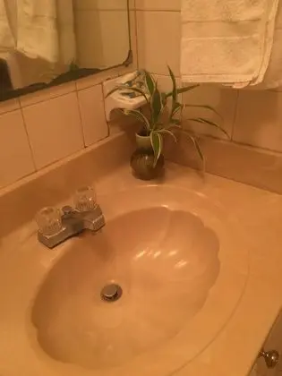 Deluxe Kitchenette