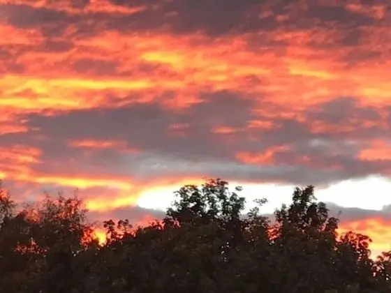 Tek Büyük Yataklı Oda, Banyolu/Duşlu, Bahçe Manzaralı