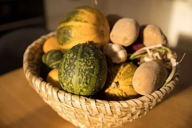 Ev (Stipe - with pool - H(6+1))