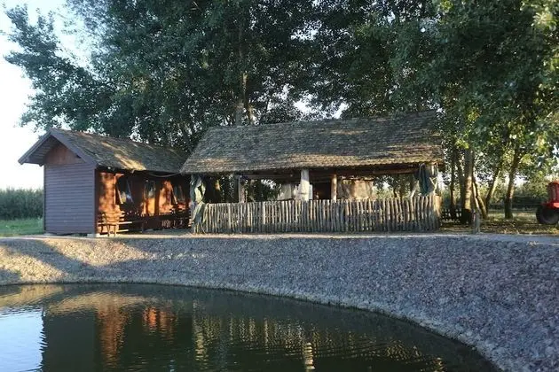 Villa (Five Bedroom Villa with swimming pool)