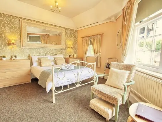 Superior Tek Büyük Yataklı Oda, Banyolu/Duşlu (Room 3 )