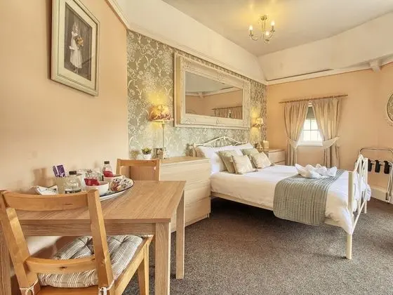 Superior Tek Büyük Yataklı Oda, Banyolu/Duşlu (Room 3 )