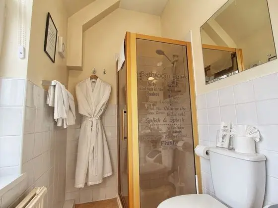 Superior Tek Büyük Yataklı Oda, Banyolu/Duşlu (Room 3 )