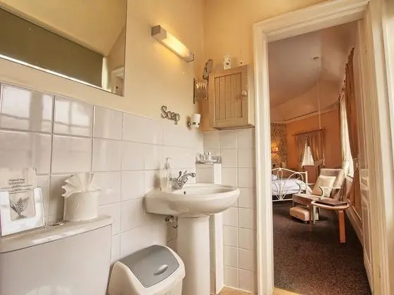 Superior Tek Büyük Yataklı Oda, Banyolu/Duşlu (Room 3 )
