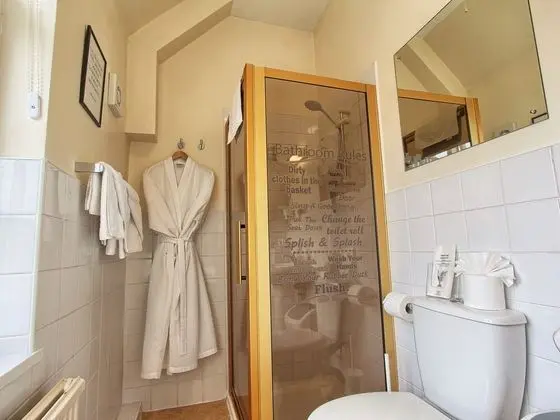 Superior Tek Büyük Yataklı Oda, Banyolu/Duşlu (Room 3 )