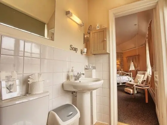 Superior Tek Büyük Yataklı Oda, Banyolu/Duşlu (Room 3 )