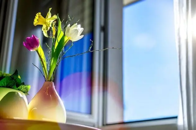 Comfort Büyük Yataklı Tek Kişilik Oda, 1 En Büyük (King) Boy Yatak, Sigara İçilmez, Balkon