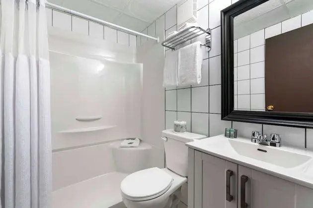 Standard Oda, 2 Büyük (Queen) Boy Yatak, Buzdolabı ve Mikrodalga, Avlu Manzaralı