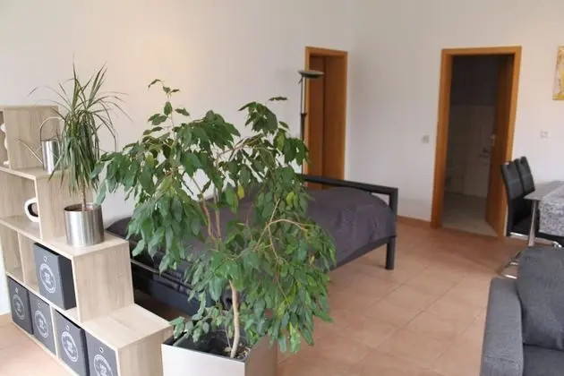 Apart Daire (1-Zi-Appartment EG)