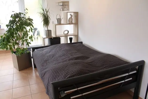 Apart Daire (1-Zi-Appartment EG)