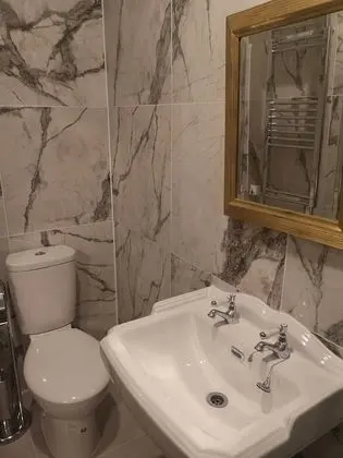 Superior Tek Büyük Yataklı Oda