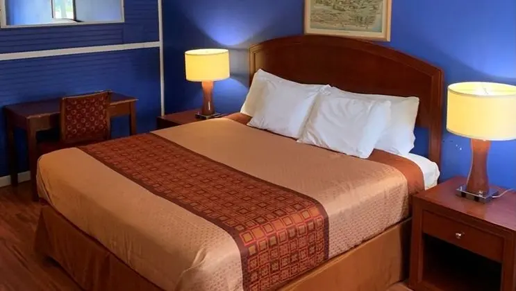 Standard Oda, 1 En Büyük (King) Boy Yatak, Sigara İçilmez, Buzdolabı ve Mikrodalga