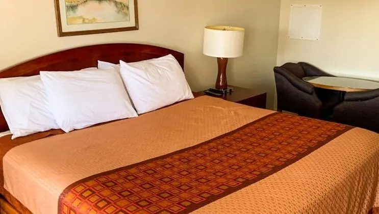 Standard Oda, 1 En Büyük (King) Boy Yatak, Sigara İçilmez, Buzdolabı ve Mikrodalga