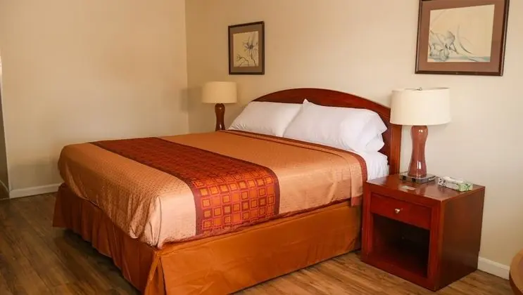 Standard Oda, 1 En Büyük (King) Boy Yatak, Sigara İçilmez, Buzdolabı ve Mikrodalga