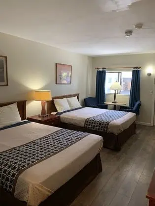 Standard Oda, 2 Büyük (Queen) Boy Yatak, Sigara İçilmez, Buzdolabı ve Mikrodalga